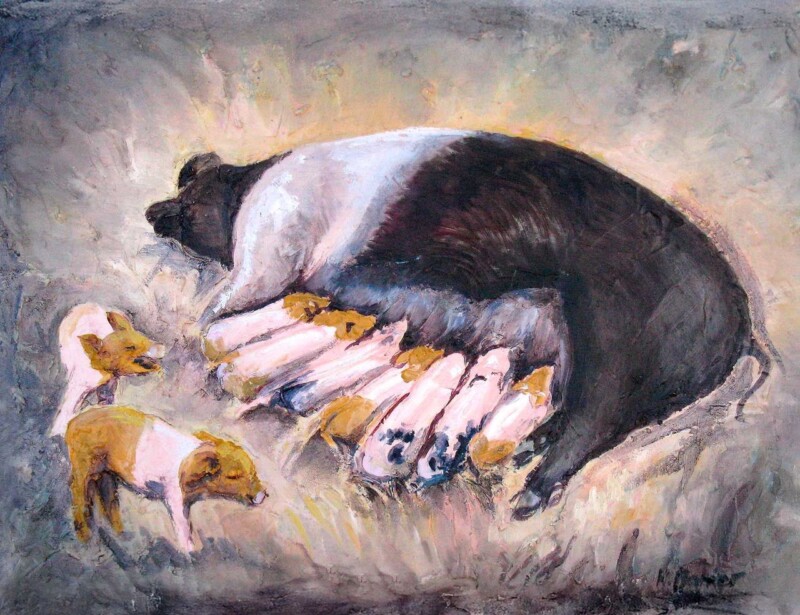 Image of Piggies by Hillary Barker
